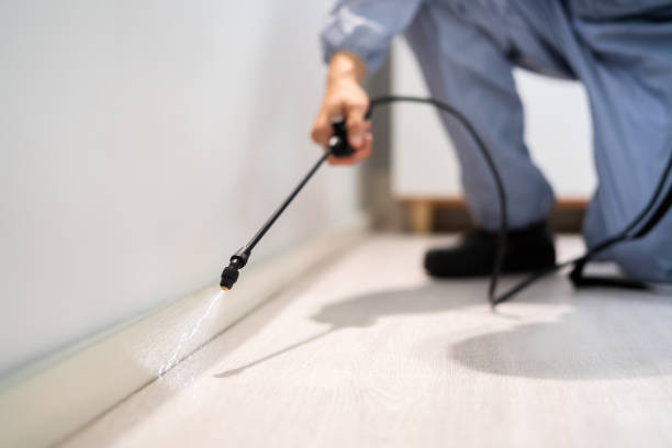 Certified termite inspector examining foundation in East Ridge